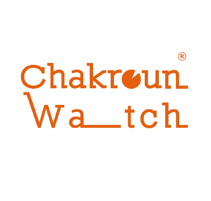 chakroun org_Plan de travail 1